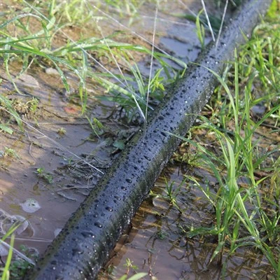 Ligne goutte à goutte pour l'agriculture